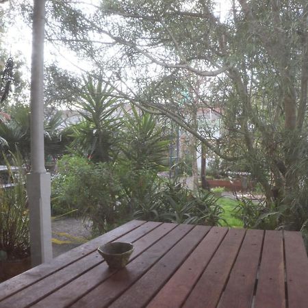 Oasis Accommodation 오포티키 외부 사진